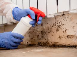 Hauula, HI Mold Removal Company